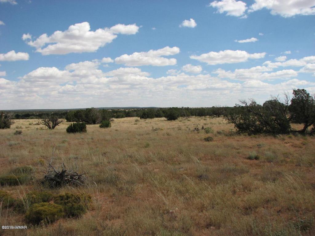 9 T14n R16e Creek Heber, AZ 85928 - Photo 2 of 2