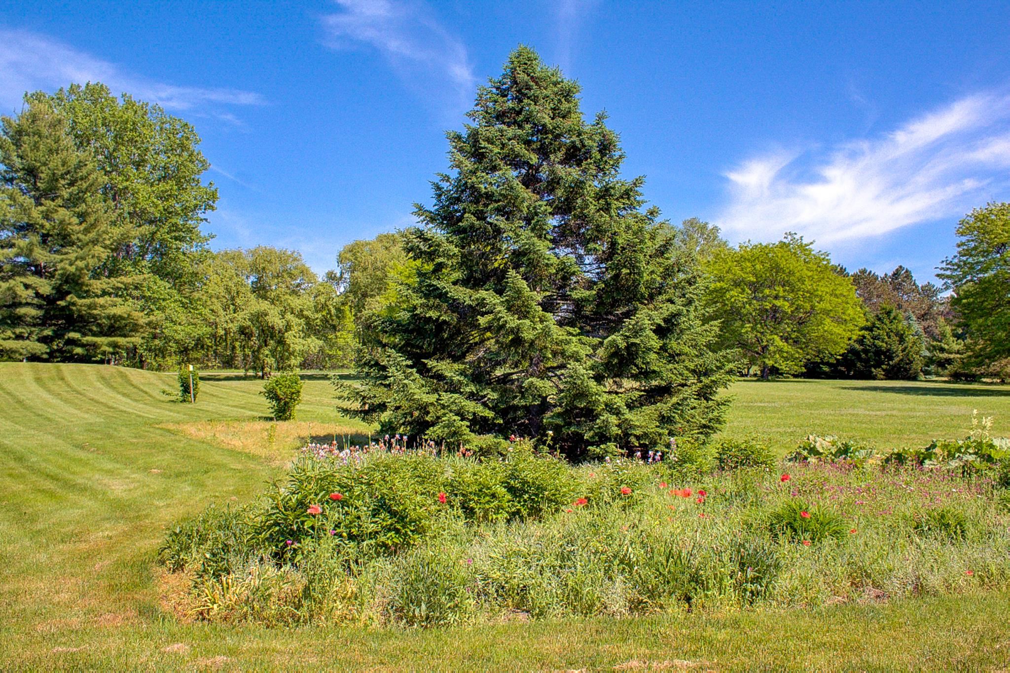 163 West Shore Road Grand Isle, VT 05458 - Photo 32 of 40 Gallery Image 32