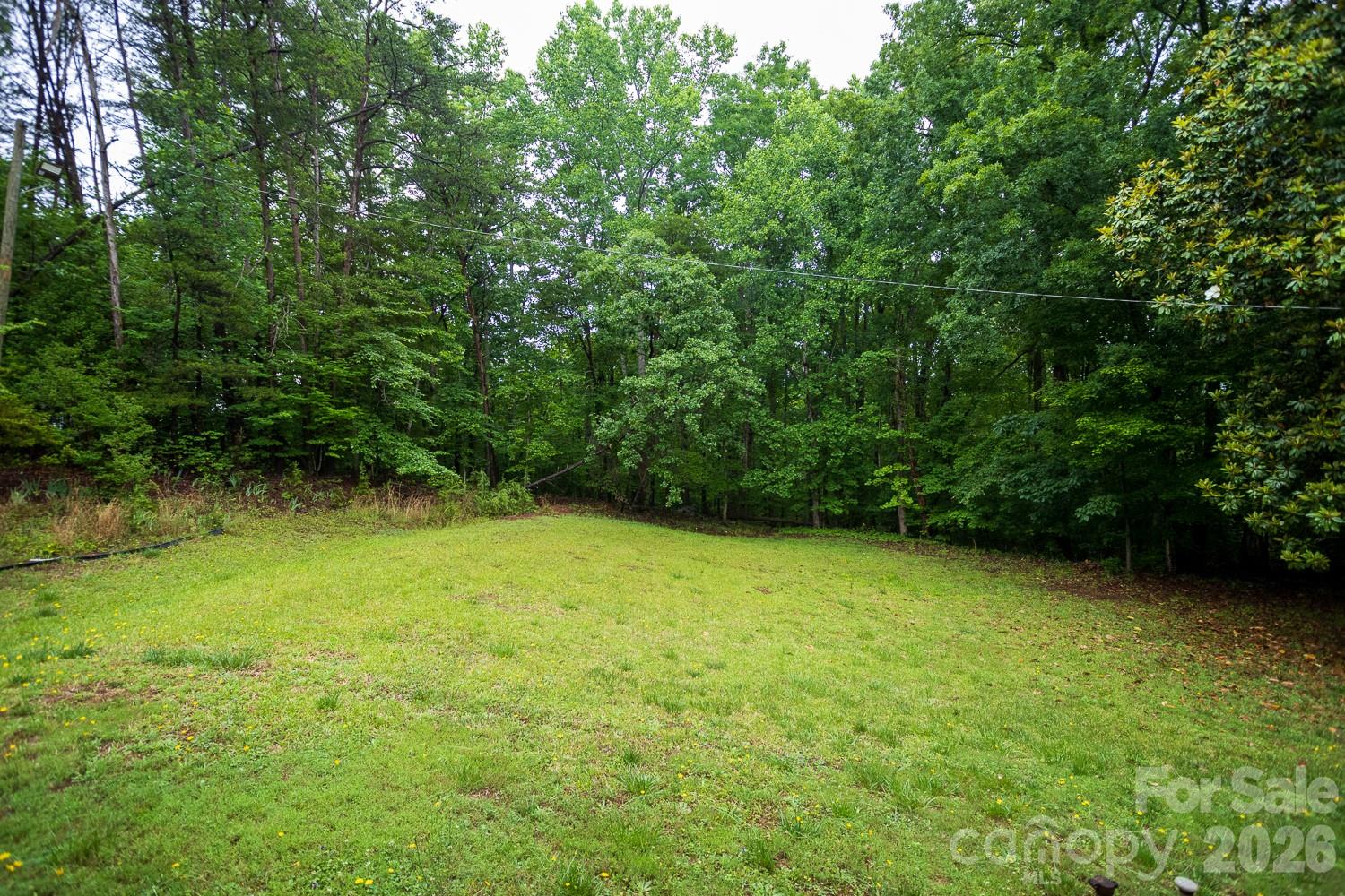 1225 Moss Road Rutherfordton, NC 28139 - Photo 6 of 26