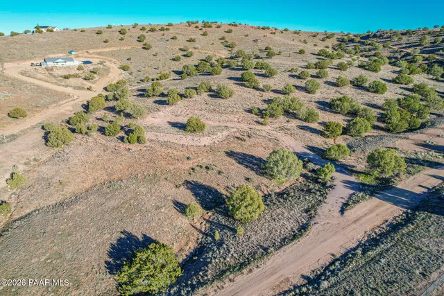 a view of a dry yard