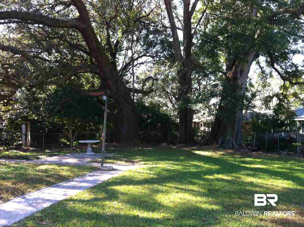 307 North Beech Street Foley, AL 36535 - Photo 1 of 18 Big Oak Trees