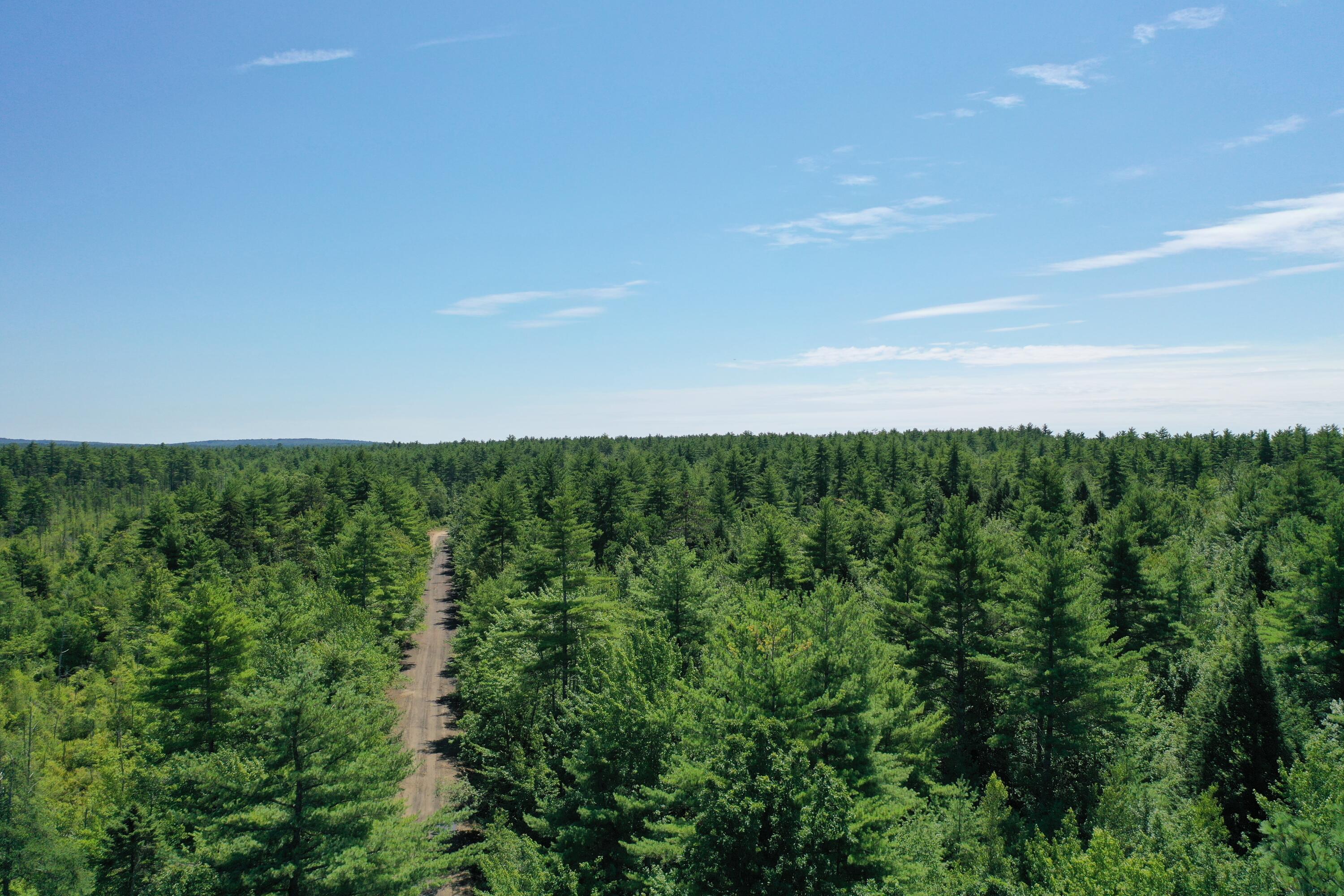DJI_0969