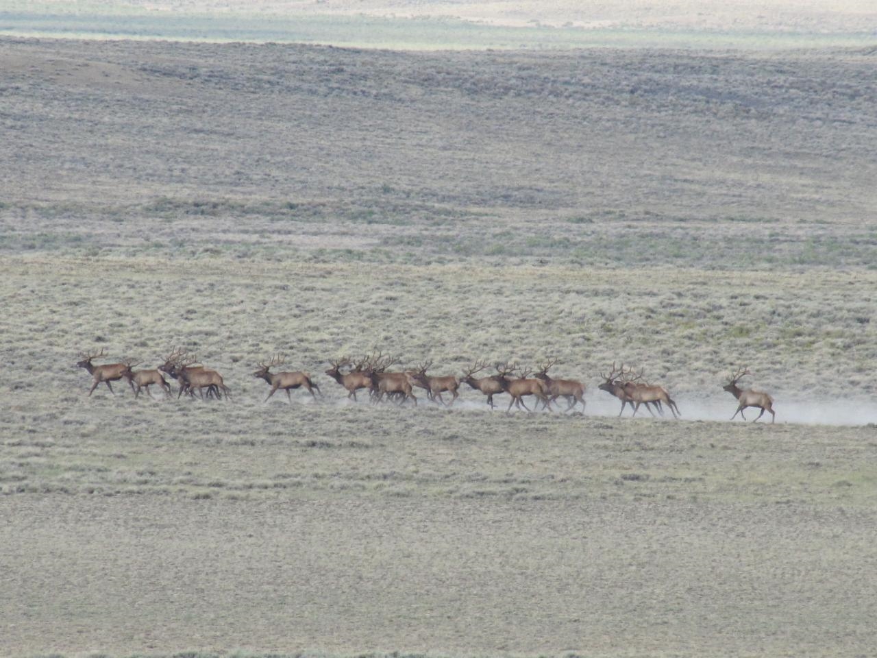 Shamrock Road Rawlins, WY 82301 - Photo 28 of 30