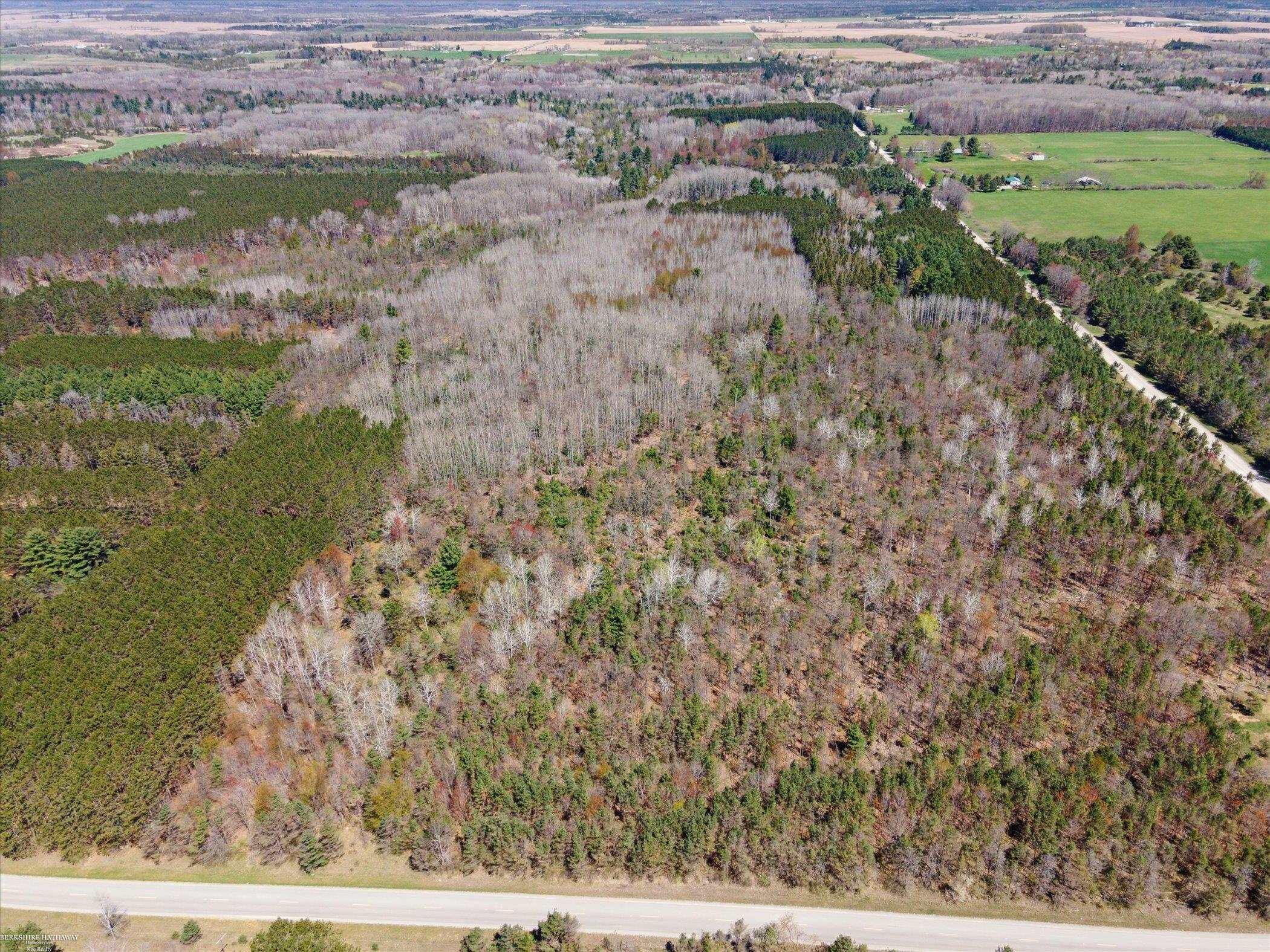 Hottis Road Whittemore, MI 48770 - Photo 21 of 21