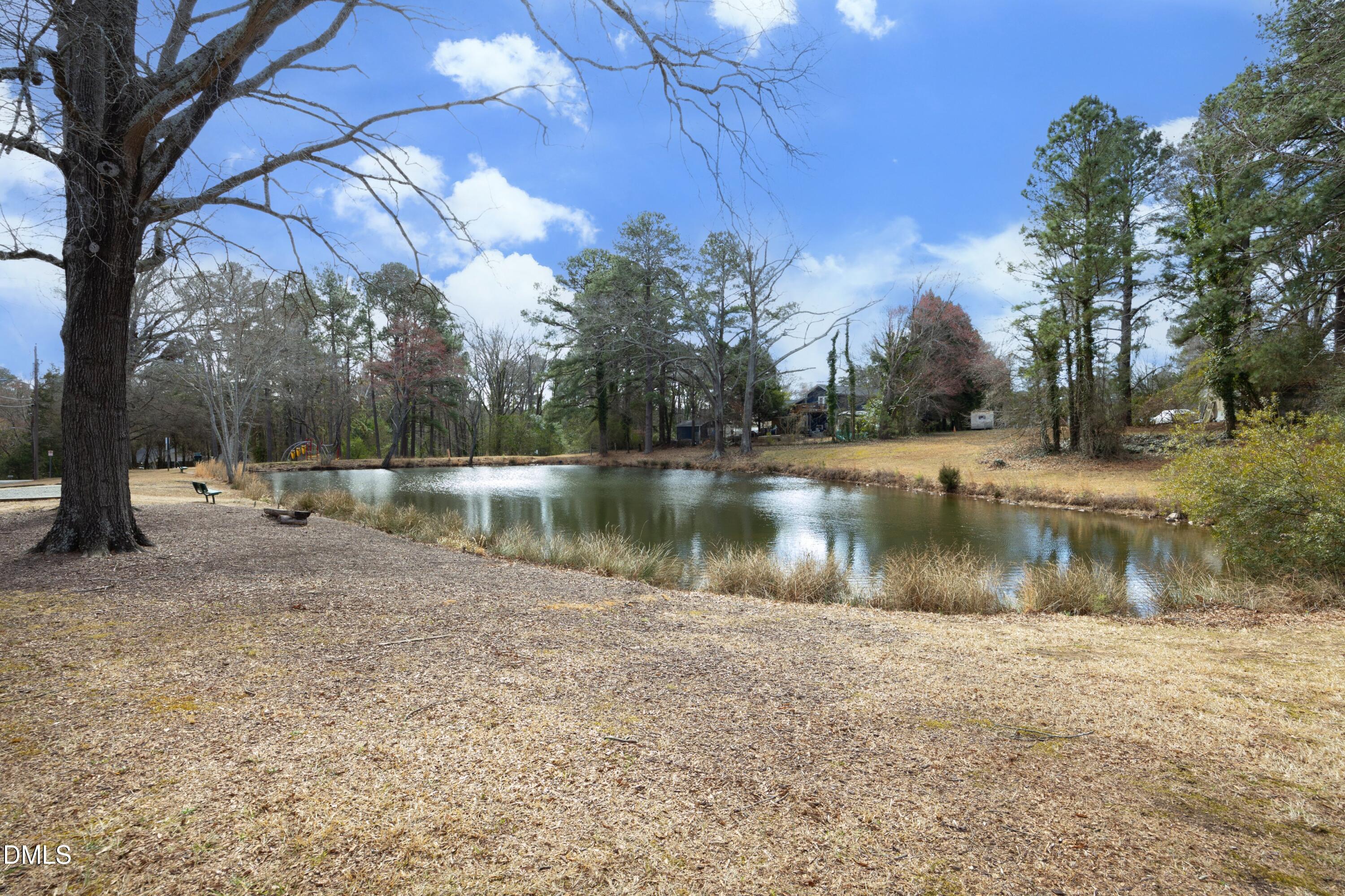 1526 Euclid Road Durham, NC 27713 - Photo 37 of 42 Pond