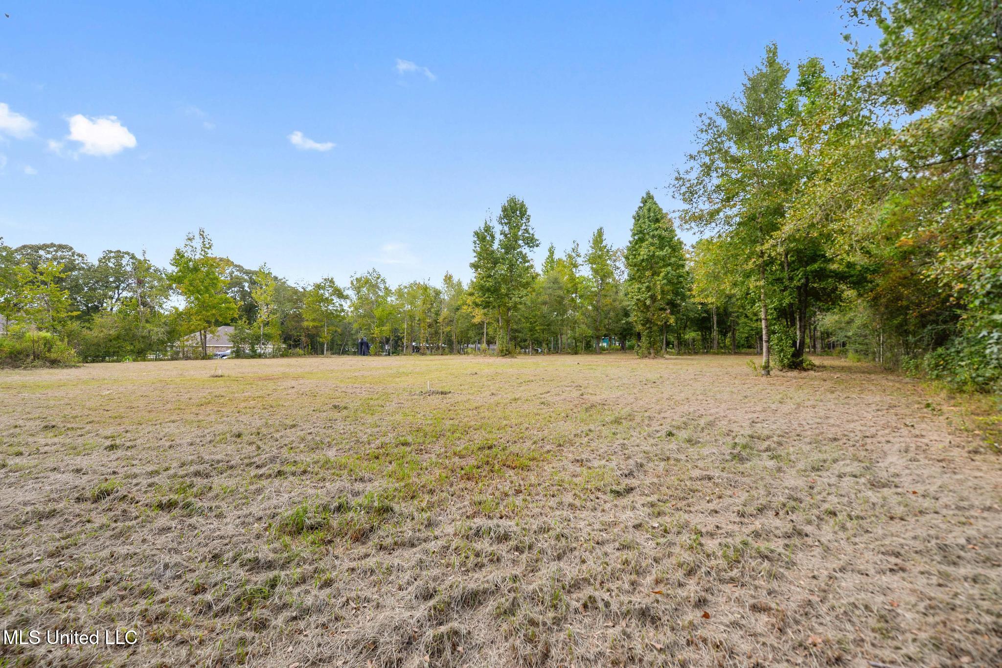 12091 School Road Saucier, MS 39574 - Photo 13 of 18 012