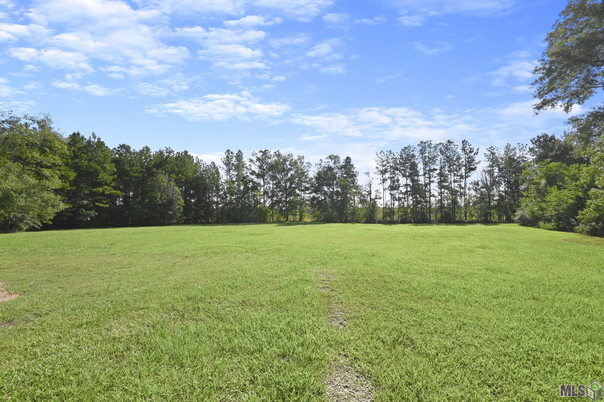 30868 Weiss Road Walker, LA 70785 - Photo 27 of 33