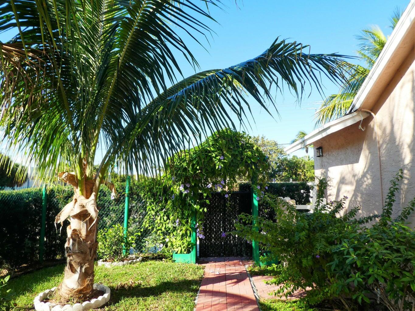 300 Northeast 42nd Street Boca Raton, FL 33431 - Photo 26 of 53 a view of backyard of a house