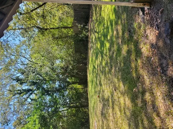 a view of a garden from a house