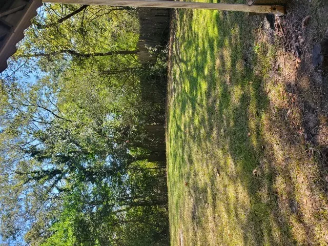 a view of a garden from a house