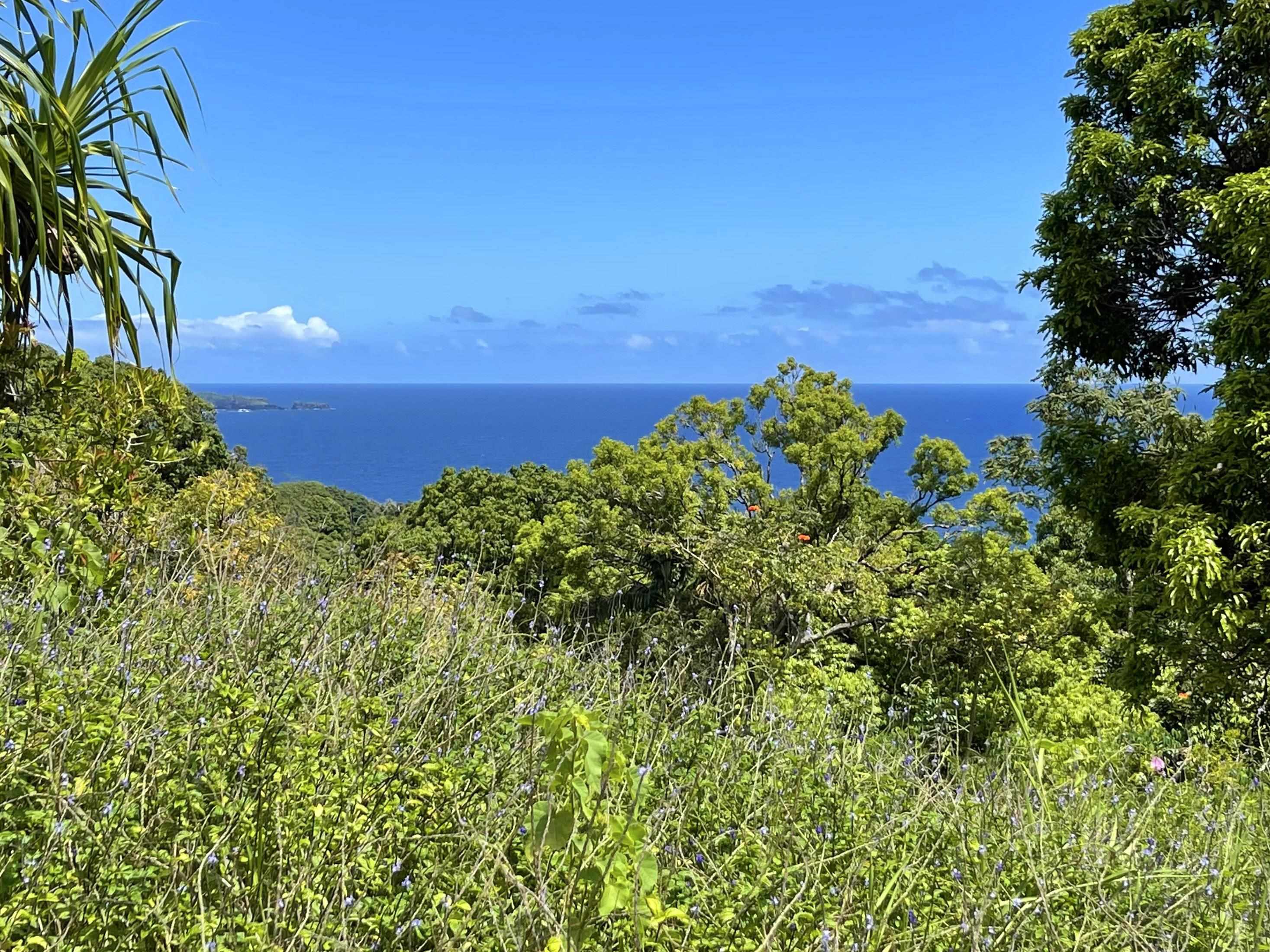836 Nahiku Road, Unit 29F Hana, HI 96713 - Photo 8 of 30 Gallery Image 8