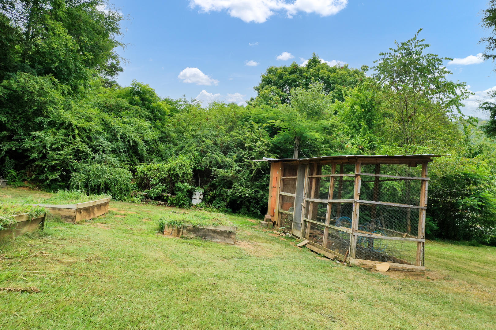 6024 Rudder Road Knoxville, TN 37920 - Photo 14 of 17 Chicken Coop