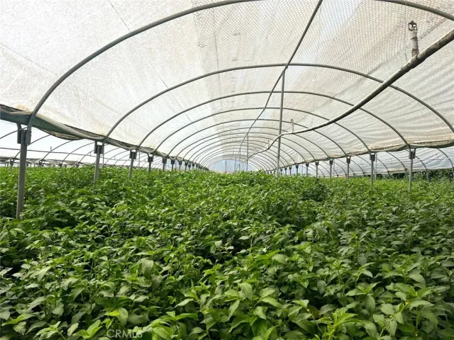 a view of a road with a building in the background