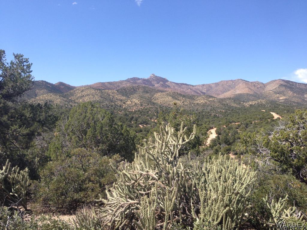 View of the Hualapais