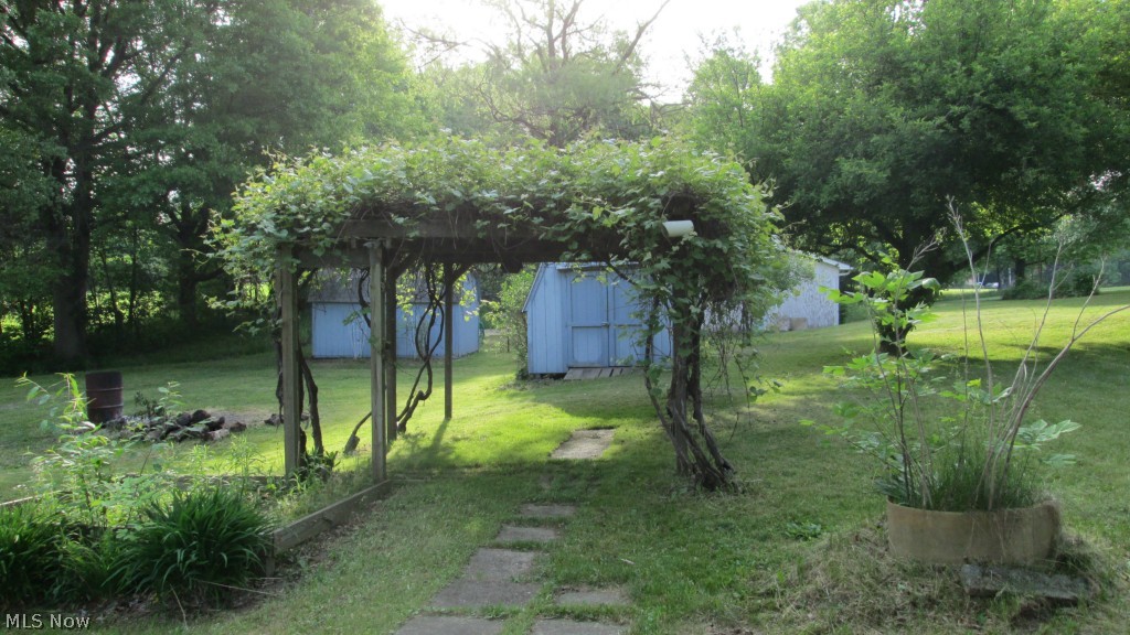 Well established concord grape arbor.