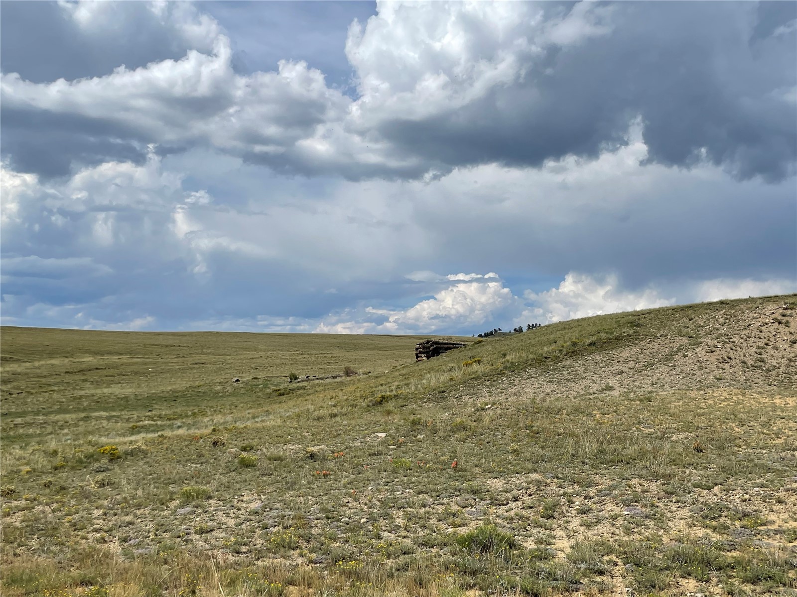 1790 Jackson Road Hartsel, CO 80449 - Photo 4 of 11 Gallery Image 4