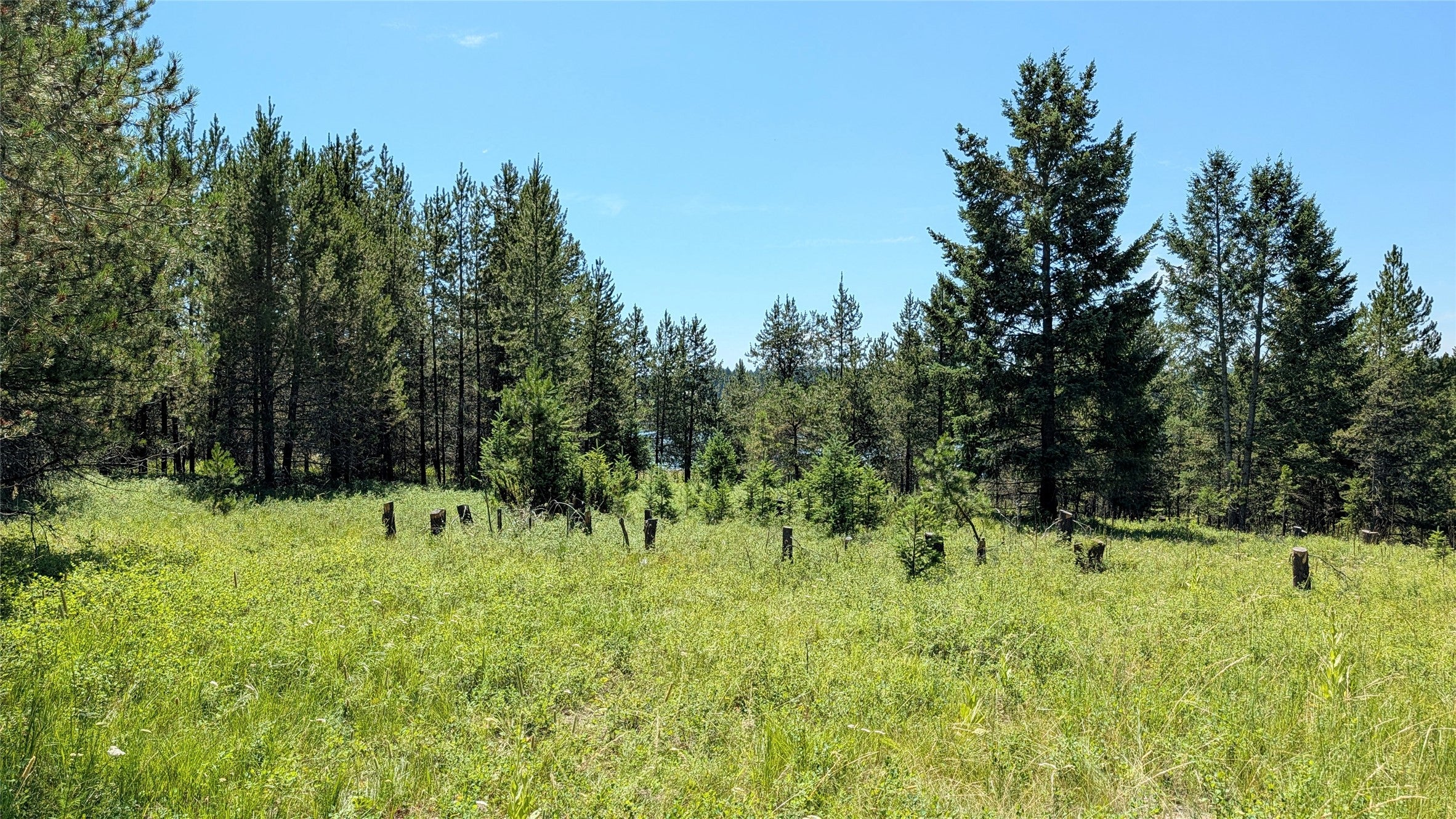 80 Wagon Wheel Road Whitefish, MT 59937 - Photo 14 of 33 Gallery Image 14