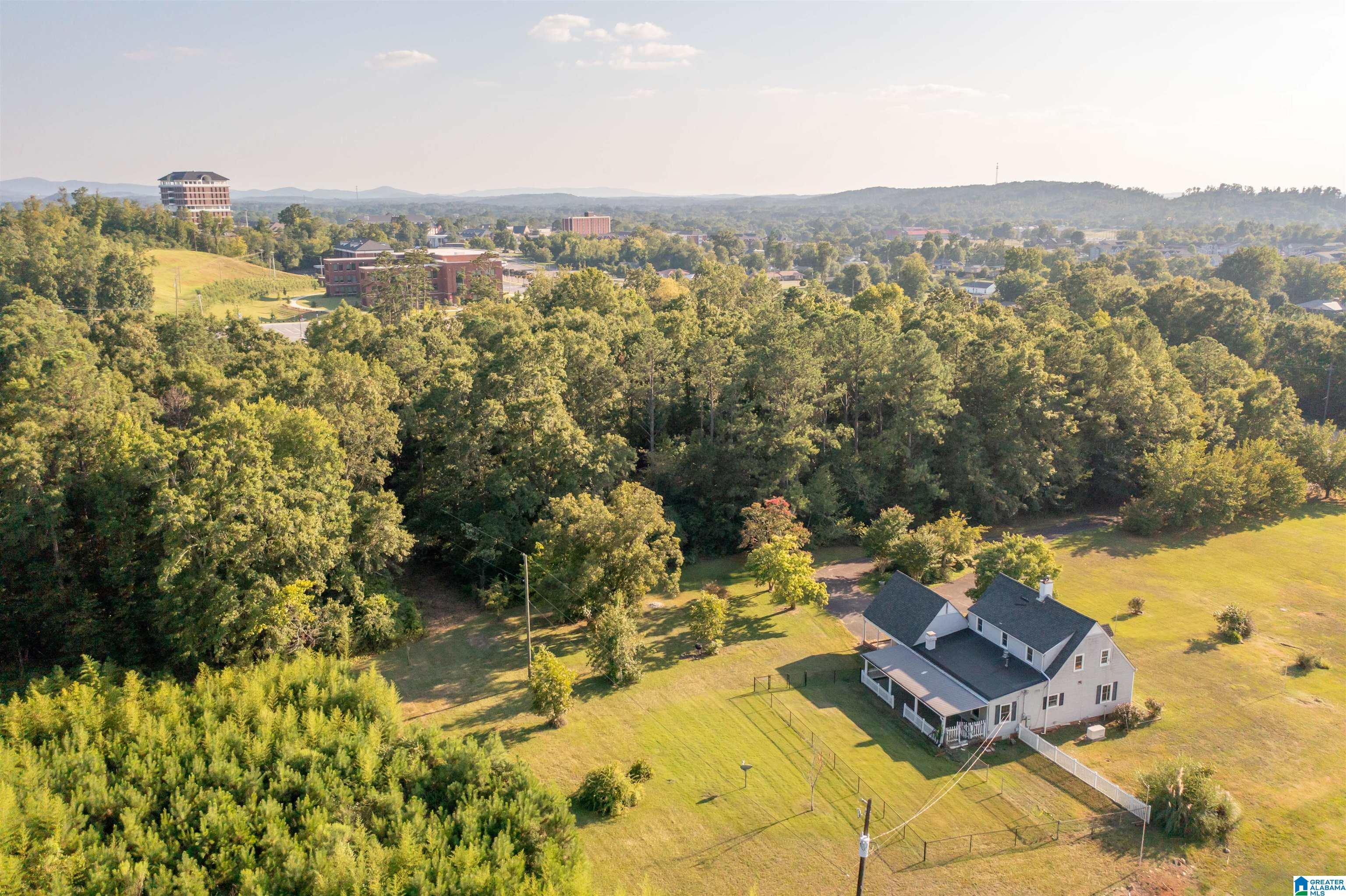 1107 Pelham Road North Jacksonville, AL 36265 - Photo 5 of 19