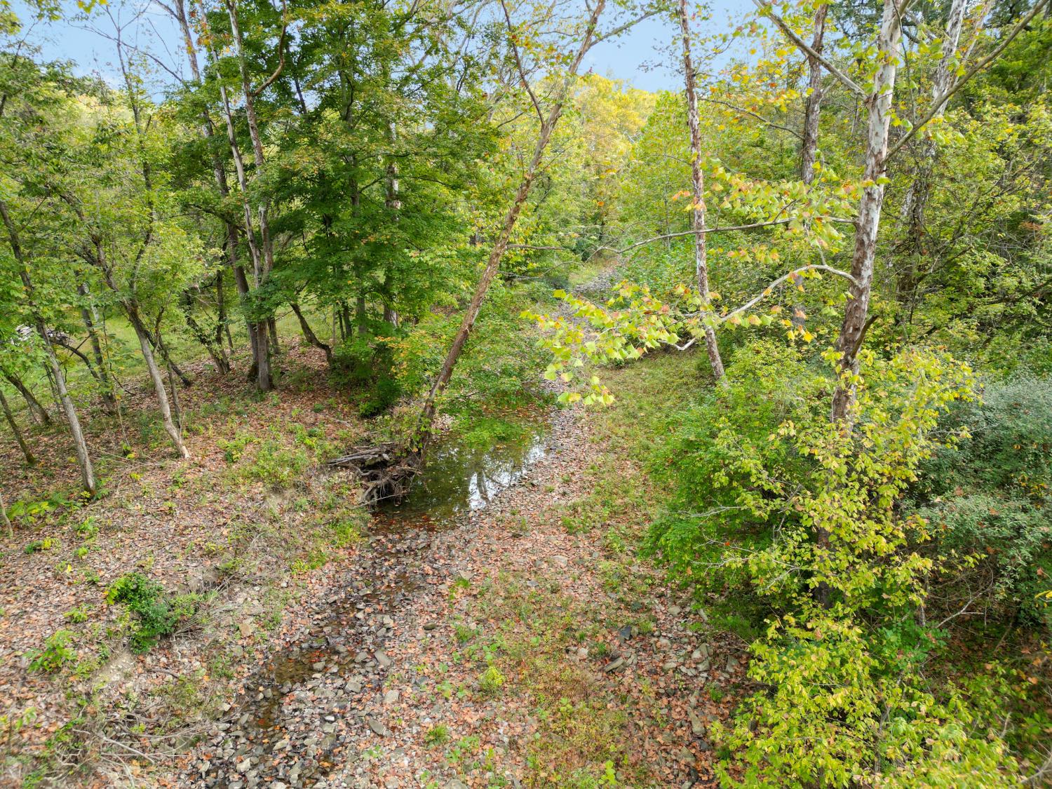 4499 Nelson Road Rising Sun, IN 47040 - Photo 8 of 16