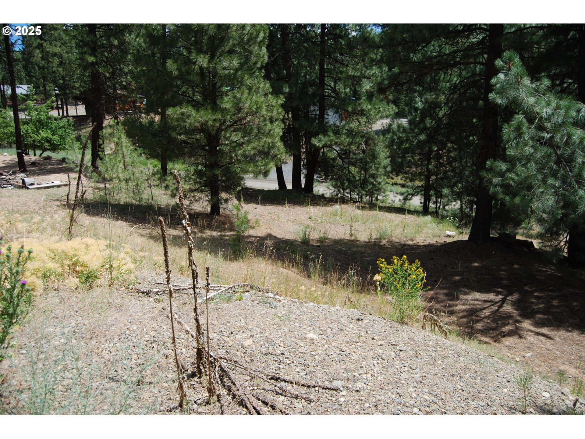 554 North Bonanza Street Sumpter, OR 97877 - Photo 1 of 8