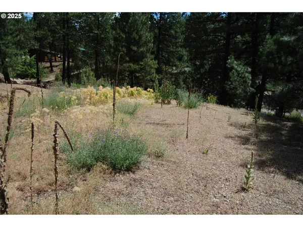 $98,000 | 554 North Bonanza Street, Sumpter, OR 97877