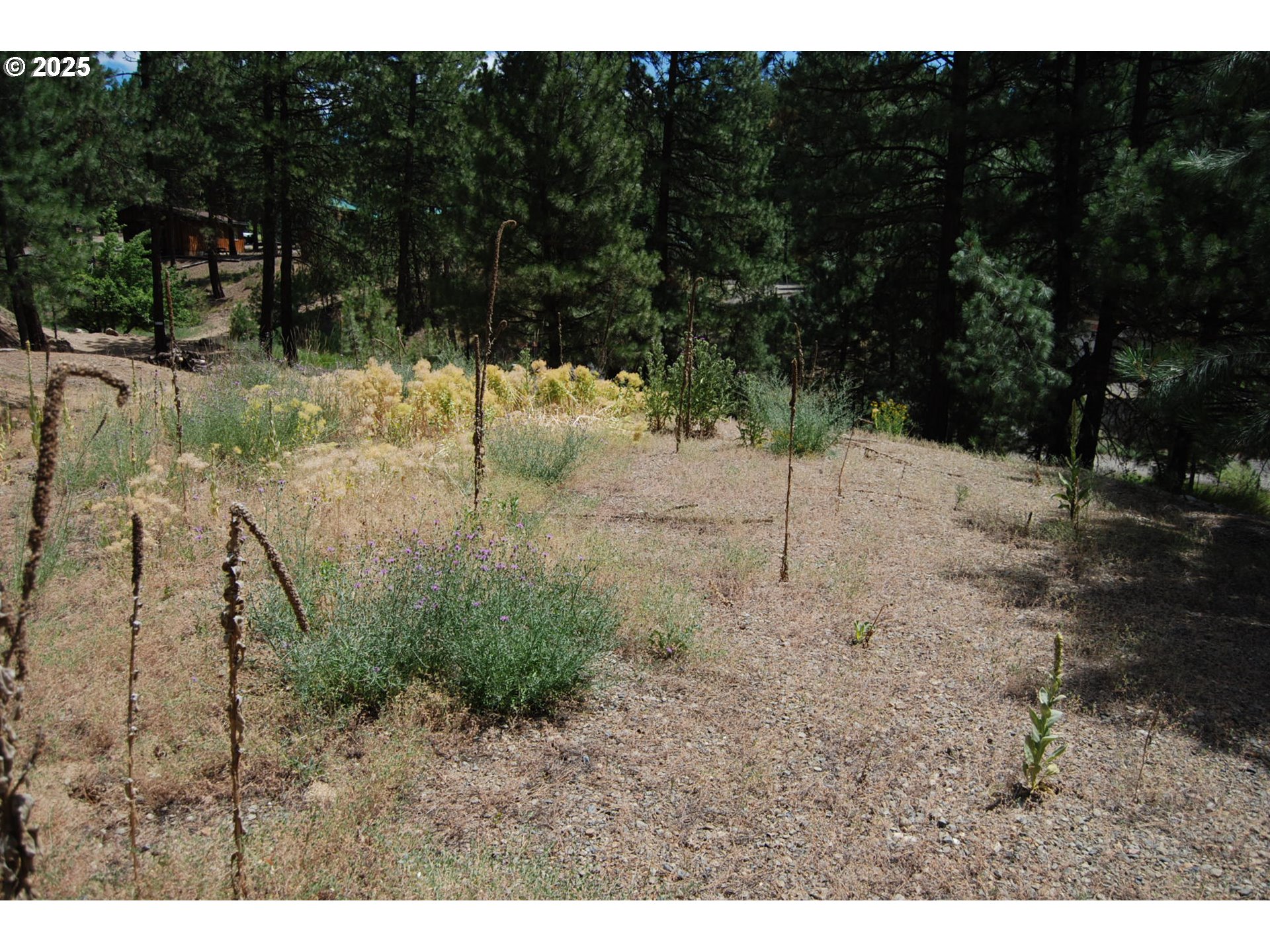 554 North Bonanza Street Sumpter, OR 97877 - Photo 3 of 8