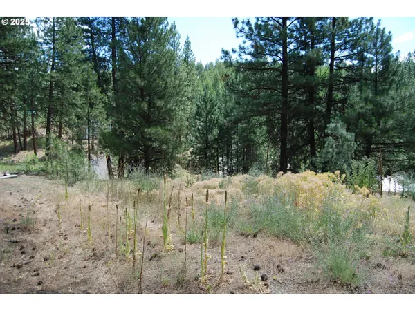 $98,000 | 554 North Bonanza Street, Sumpter, OR 97877