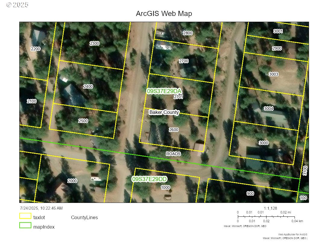 554 North Bonanza Street Sumpter, OR 97877 - Photo 6 of 8