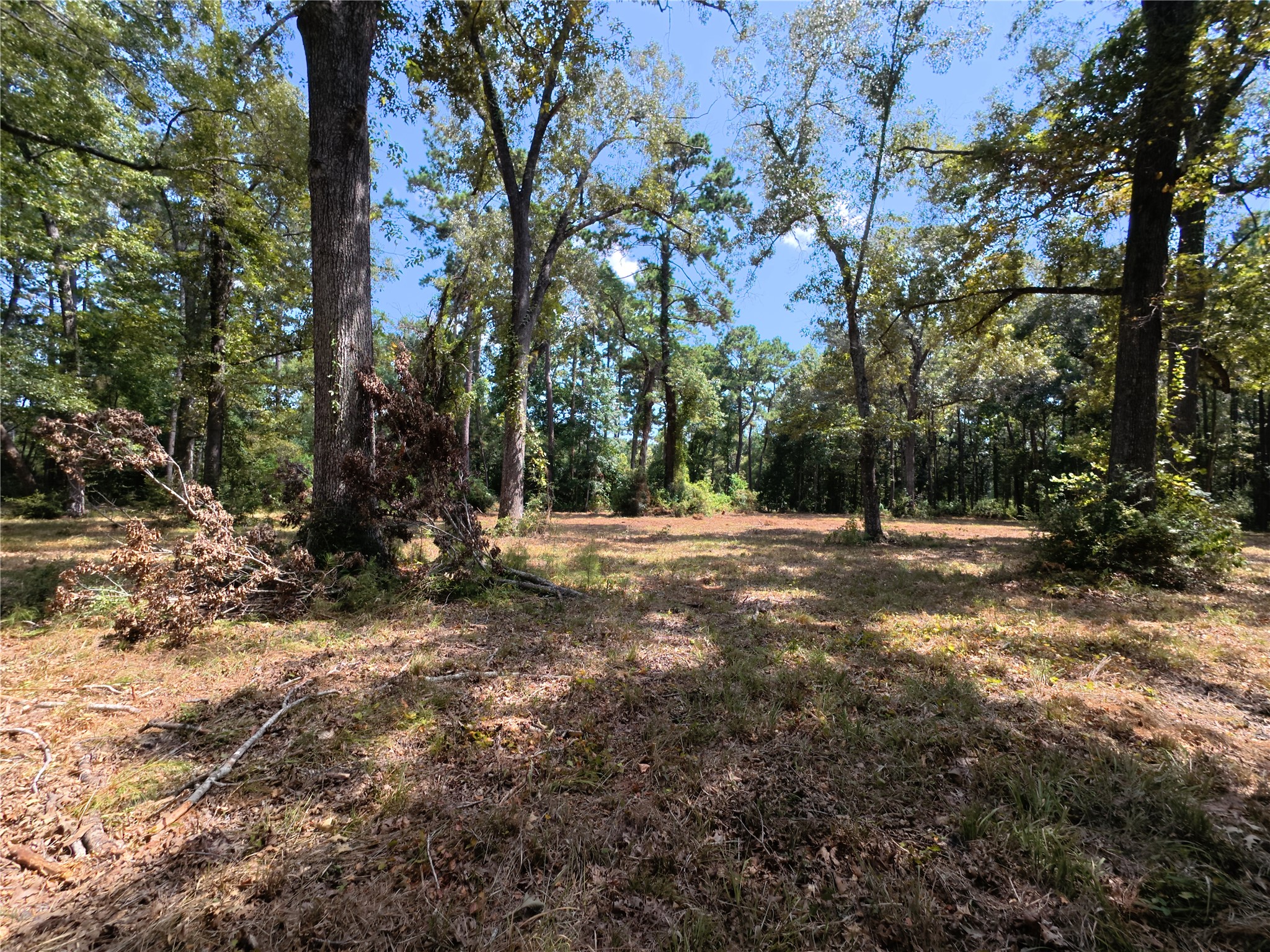 5 River Terrace Road Huffman, TX 77336 - Photo 4 of 7 Gallery Image 4