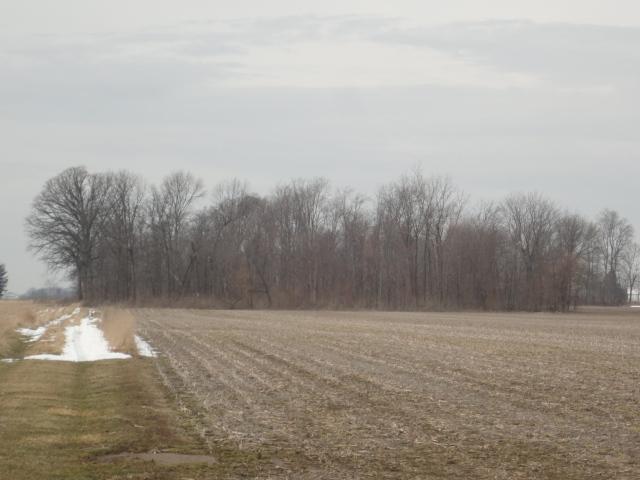 0 625 W Pendleton, IN 46064 - Photo 1 of 6 Gallery Image 1