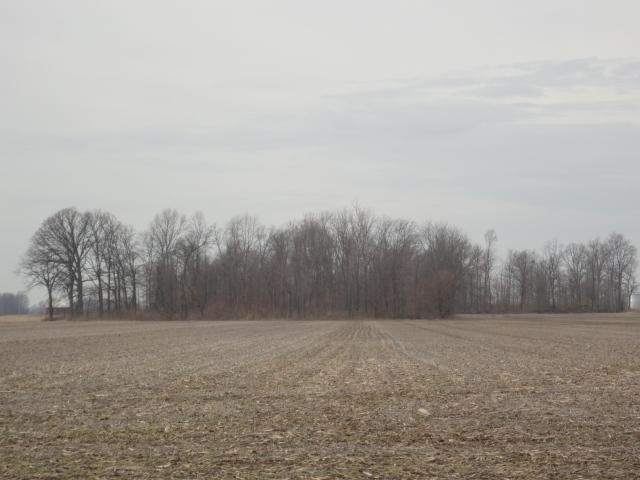 0 625 W Pendleton, IN 46064 - Photo 5 of 6 Gallery Image 5