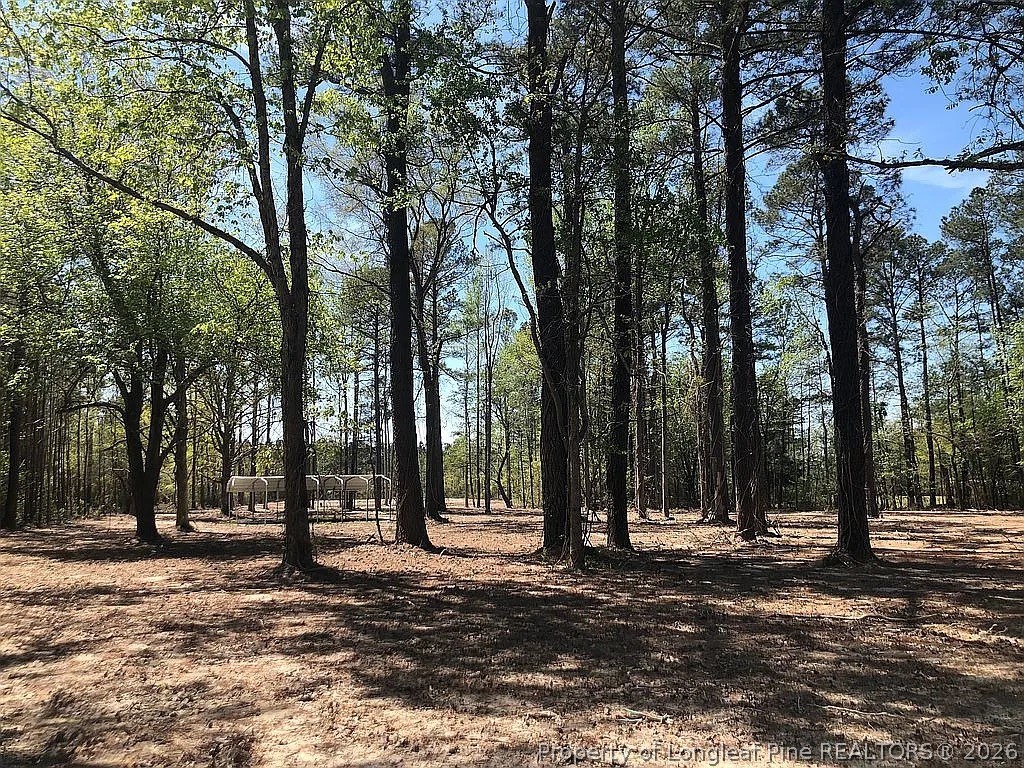 700 Slocomb Road Fayetteville, NC 28311 - Photo 2 of 9 a view of road with trees