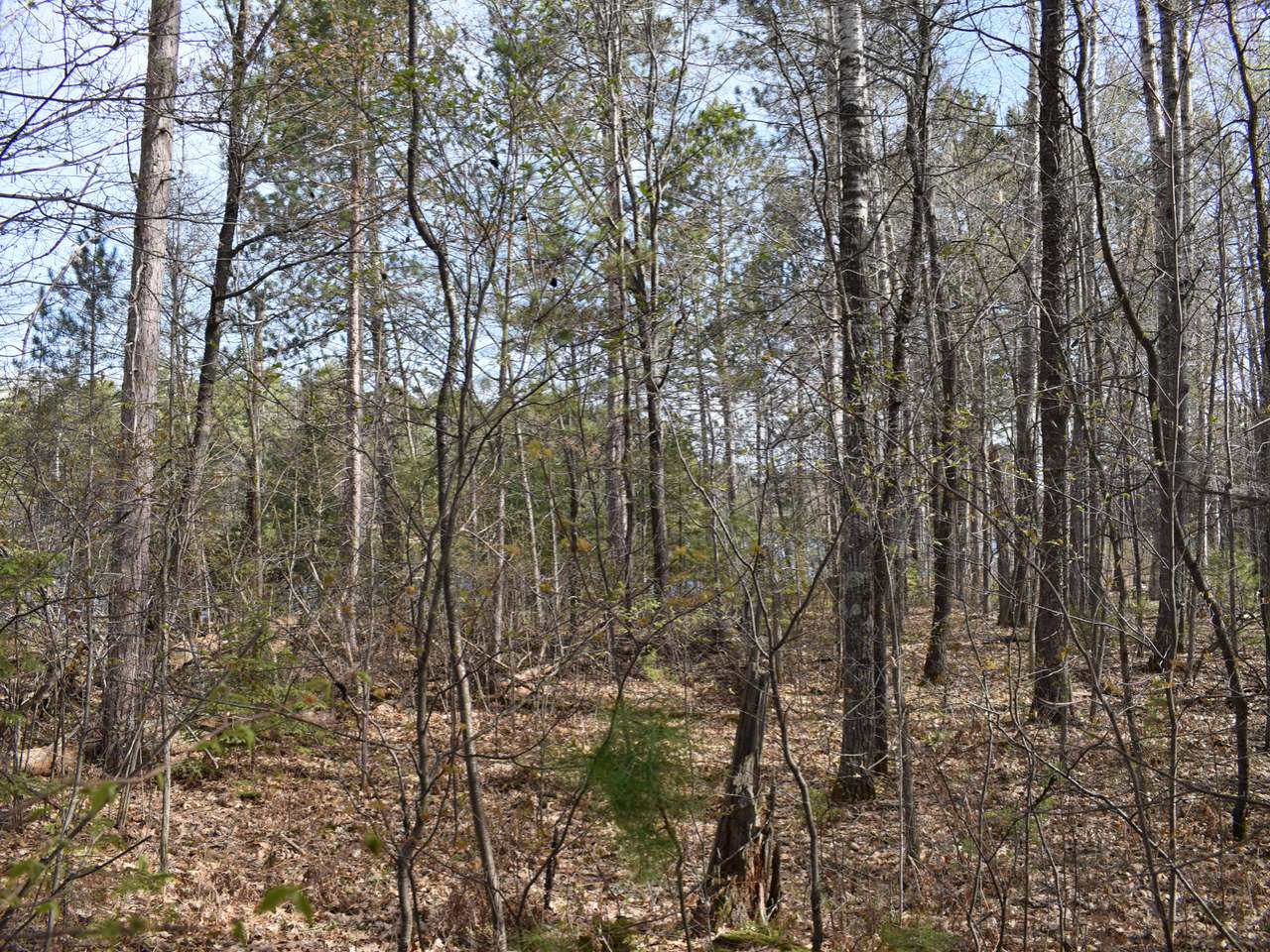 Lot 1 Kings Road Tomahawk, WI 54487 - Photo 3 of 10 Gallery Image 3