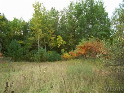 7024 Schmeid Road Lakeview, MI 48850 - Photo 2 of 3 Additional Photo
