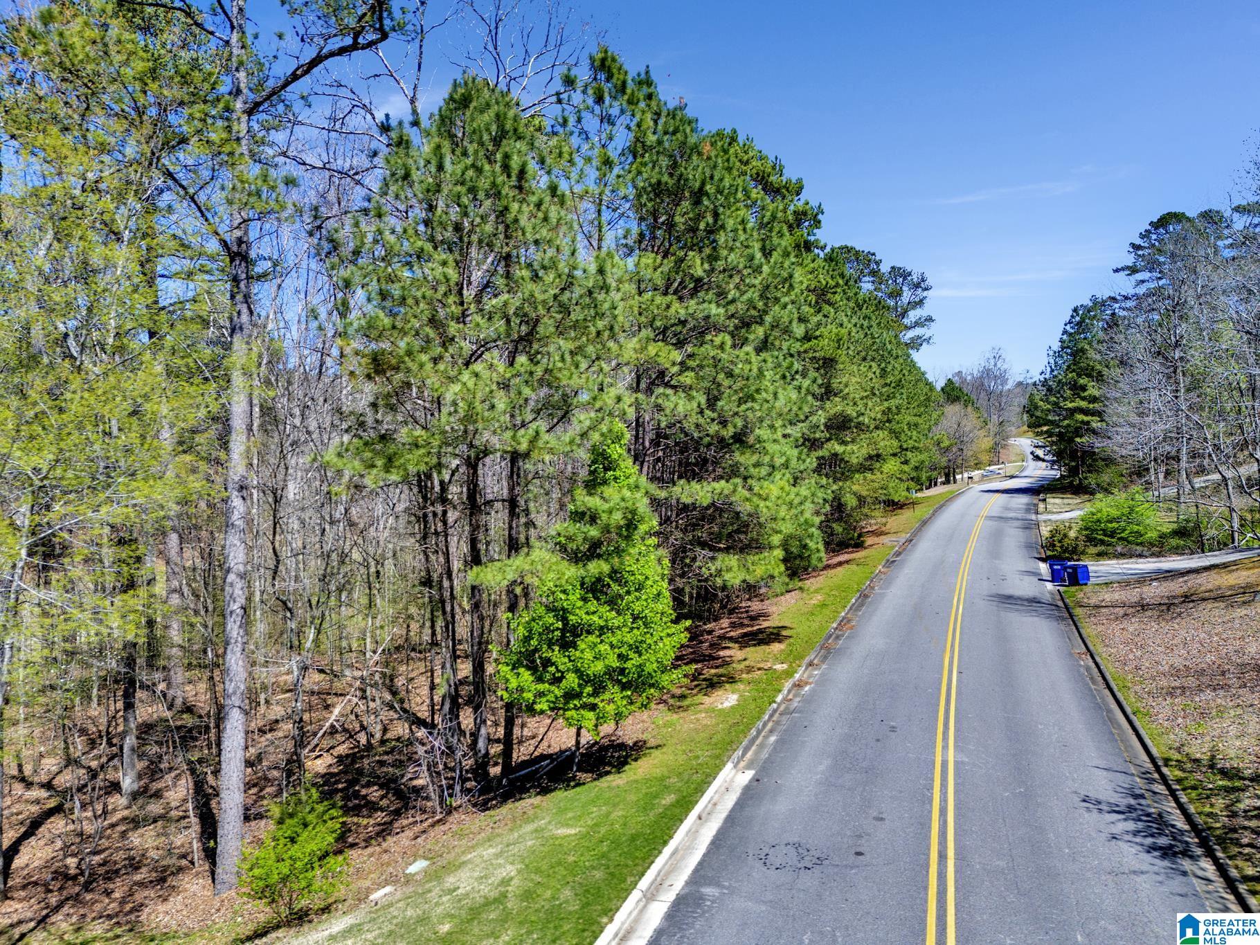 433 St Andrews Parkway, Unit 1 Oneonta, AL 35121 - Photo 5 of 22