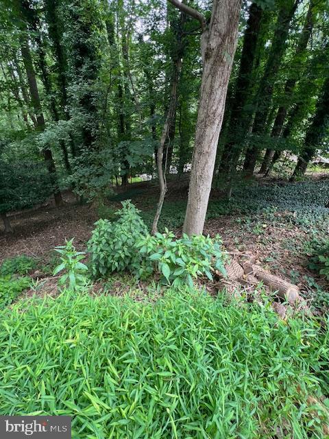 Miller Road Parkton, MD 21120 - Photo 1 of 10 Gallery Image 1