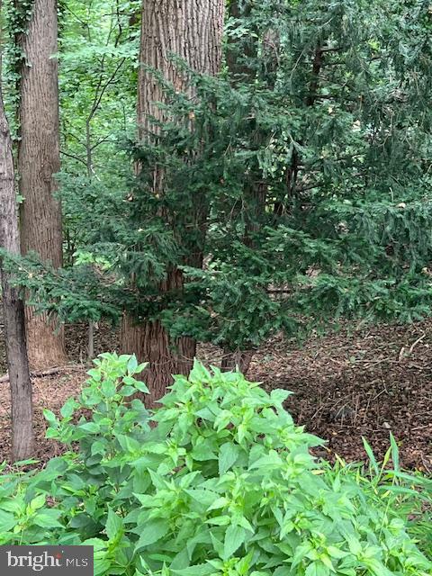 Miller Road Parkton, MD 21120 - Photo 3 of 10 Gallery Image 3