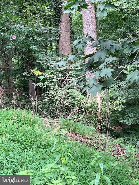 Miller Road Parkton, MD 21120 - Photo 4 of 10 Gallery Image 4