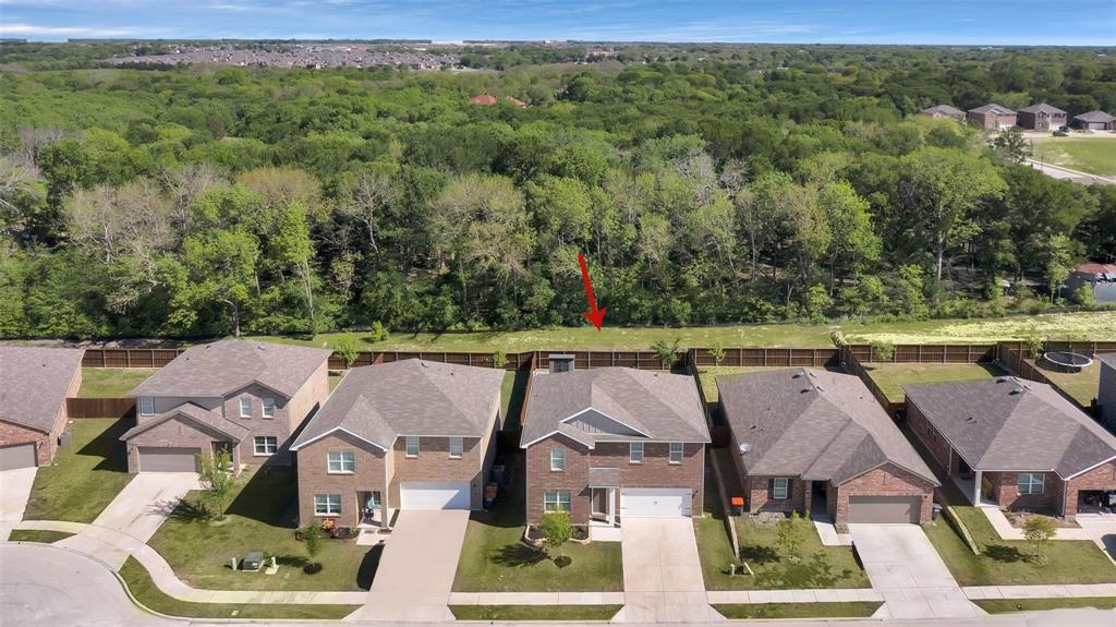 824 Juniper Street Anna, TX 75409 - Photo 4 of 25