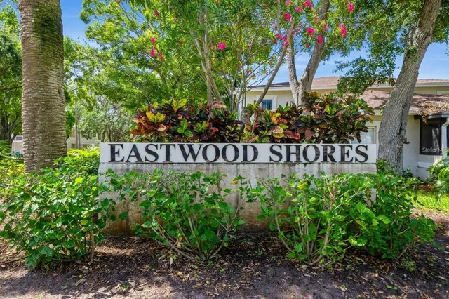 a view of a yard with plants and trees