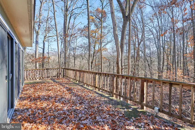a view of a pathway of a yard with wooden fence