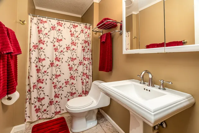 a view of a backyard of the house