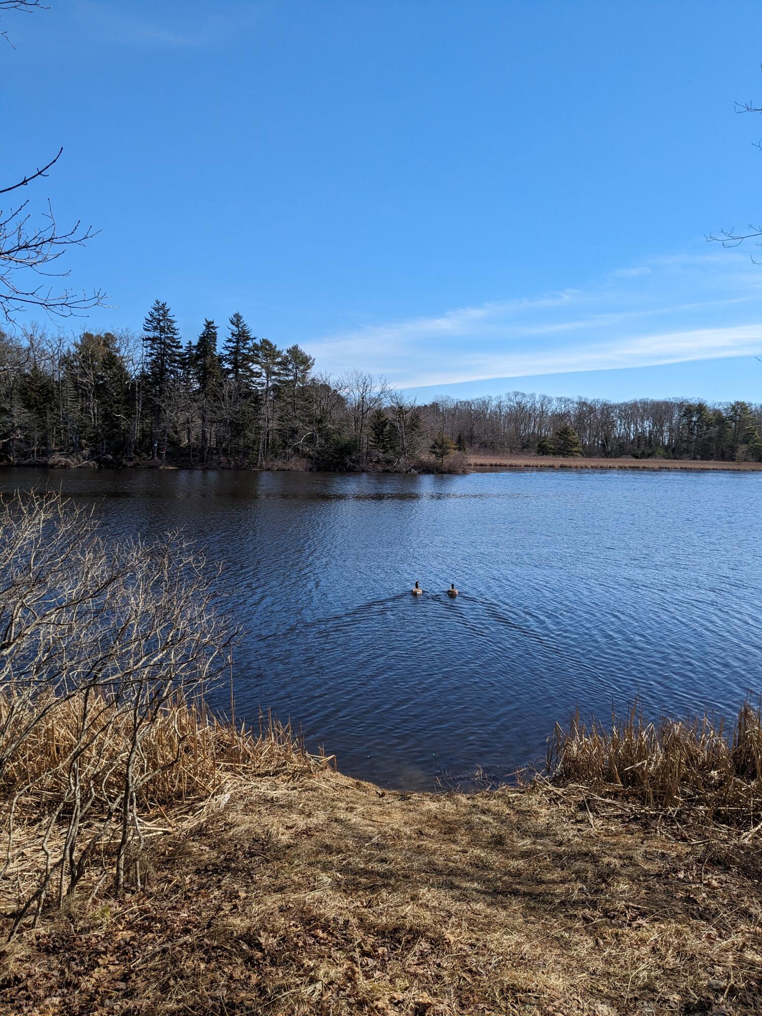 34 The Tote Road Harpswell, ME 04079 - Photo 40 of 49 PXL_20240304_164923406