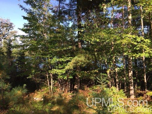 108 Blueberry Corner Road, Unit 3 Crystal Falls, MI 49920 - Photo 12 of 20 Gallery Image 12