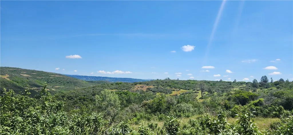 0 Hummer Forest Ranch Magalia, CA 95954 - Photo 15 of 28 a view of a green field with lots of bushes