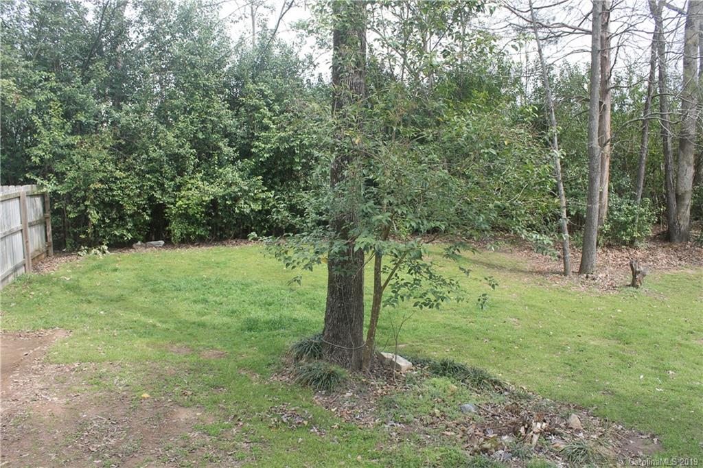 11203 Johnston Road Charlotte, NC 28226 - Photo 17 of 17 a view of a field with a tree in it