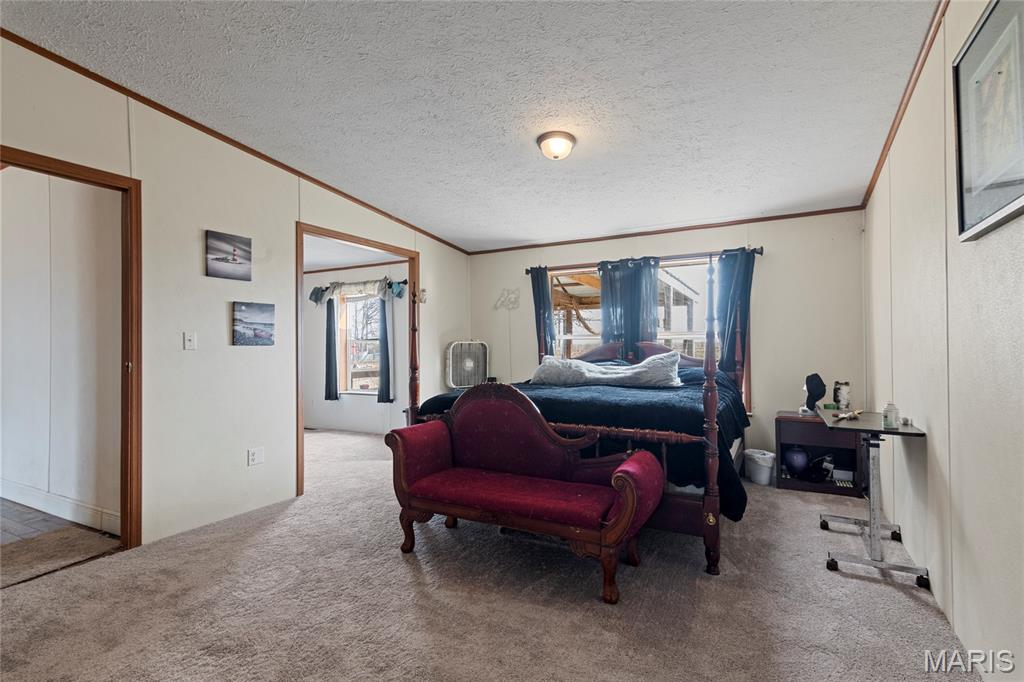 420 Dairy Road Elkland, MO 65644 - Photo 15 of 33