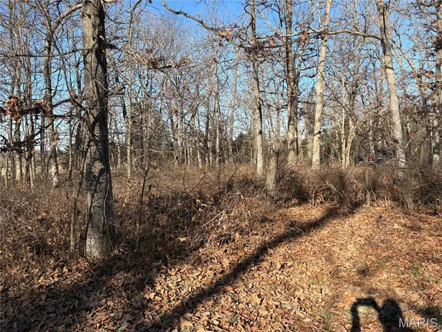 $279,900 | 420 Dairy Road, Elkland, MO 65644