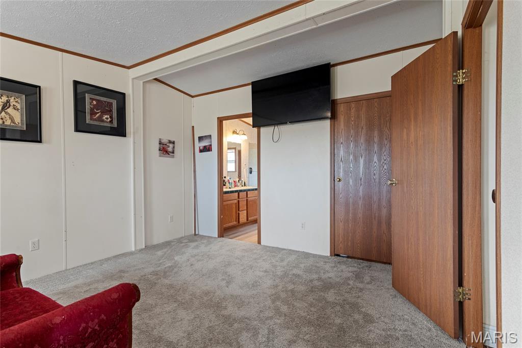 420 Dairy Road Elkland, MO 65644 - Photo 16 of 33