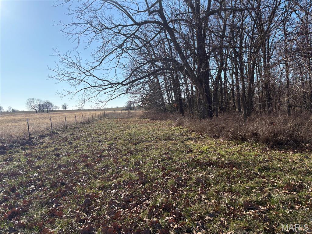 420 Dairy Road Elkland, MO 65644 - Photo 25 of 33